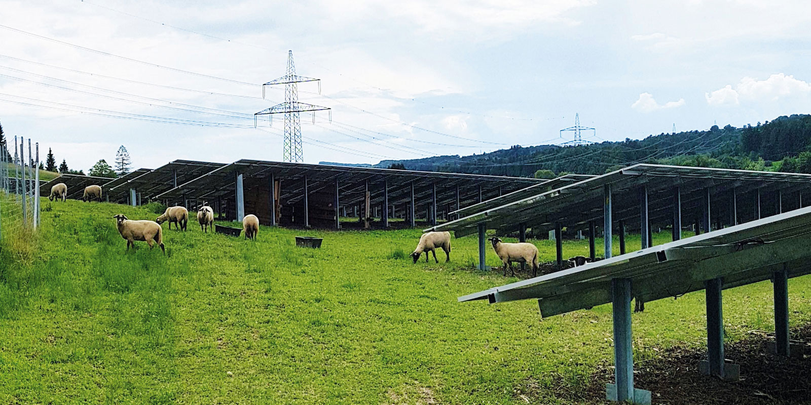 Photovoltaik und Landwirtschaft